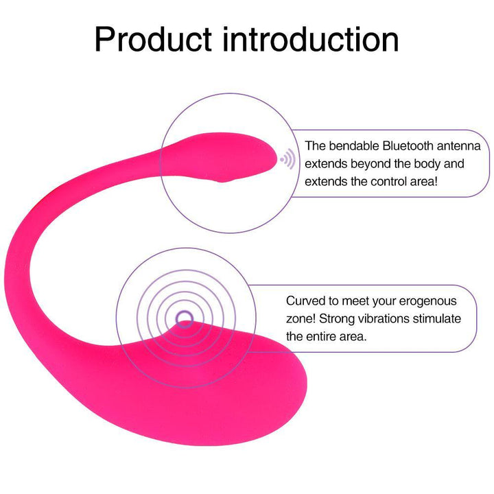 Wearable Panty APP Control Vibrator Vagina G-spot Clitoris Stimulator - Delightor