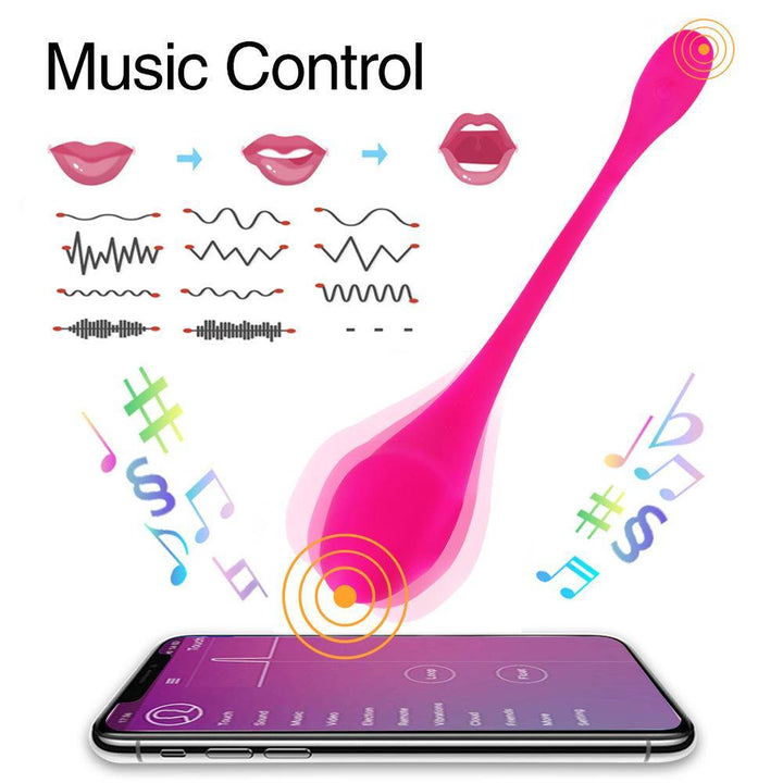 Wearable Panty APP Control Vibrator Vagina G-spot Clitoris Stimulator - Delightor