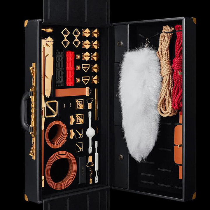 LOCKINK All-in-1 BDSM Play Kit - Delightor