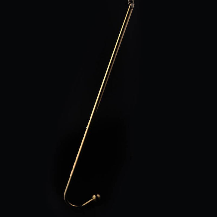 LOCKINK Adjustable Gold Anal Hook With Collar Connector - Delightor